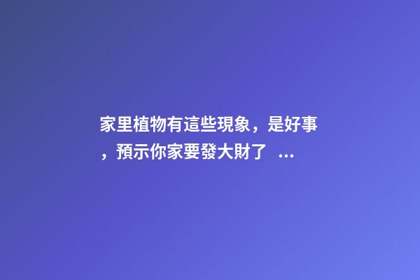 家里植物有這些現象，是好事，預示你家要發大財了！